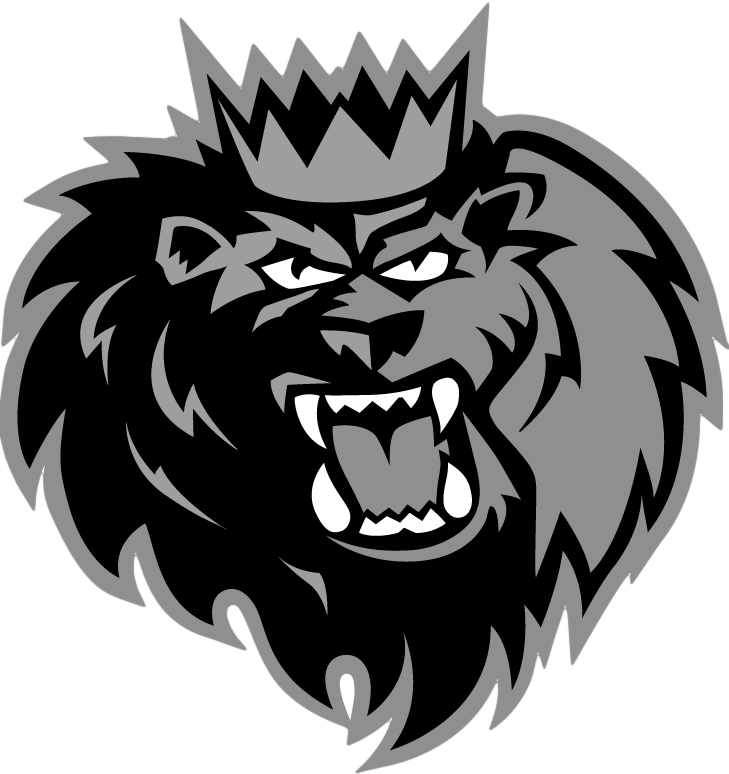 Manchester Monarchs 2015-Pres Secondary Logo iron on heat transfer